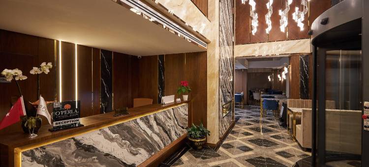 欧佩拉机场酒店，温德姆Trademark系列(Operla Airport Hotels, Trademark Collection by Wyndham)图片