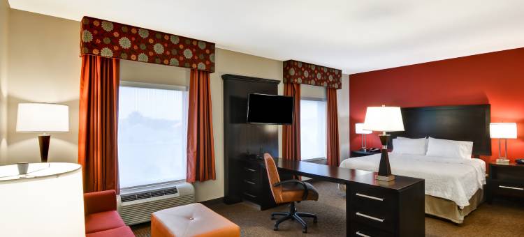 坦帕西北/奥尔兹马欢朋套房酒店(Hampton Inn & Suites Tampa Northwest/Oldsmar)图片