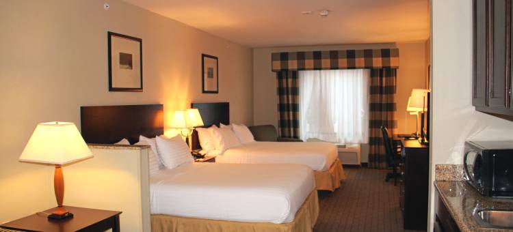 智选假日套房酒店雪城北 - 机场区(Holiday Inn Express & Suites Syracuse North - Airport Area)图片