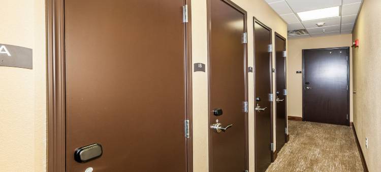 IHG诺克斯维尔西Staybridge Suites(Staybridge Suites Knoxville-West)图片