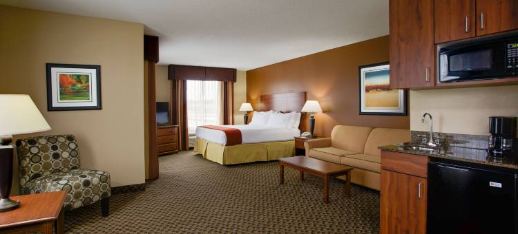洲际酒店集团智选假日酒店及套房 哥伦比亚 I-20 克莱姆森路(Holiday Inn Express & Suites Columbia-I-20 @ Clemson RD)图片