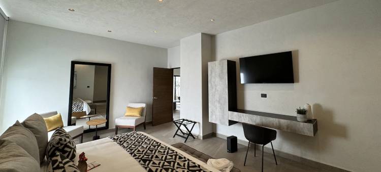 Esplendor by Wyndham San Luis Potosi图片