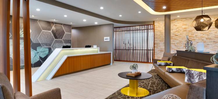 SpringHill Suites Cottonwood图片
