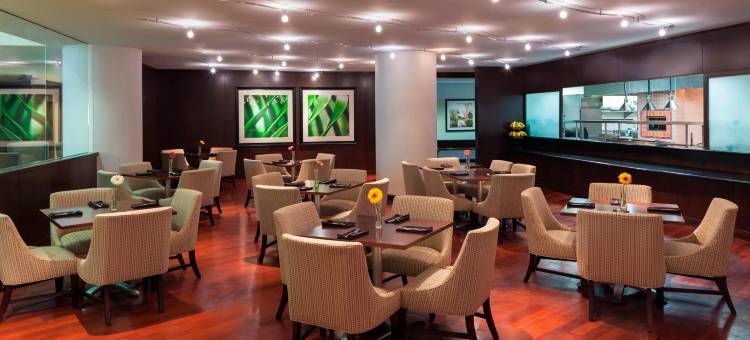 梅泰里新奥尔良喜来登酒店(Sheraton Metairie - New Orleans Hotel)图片