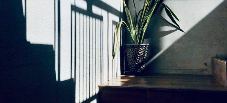 背包仓库肆零居图片