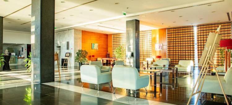 VIP行政圣伊里亚酒店(VIP Executive Santa Iria Hotel)图片