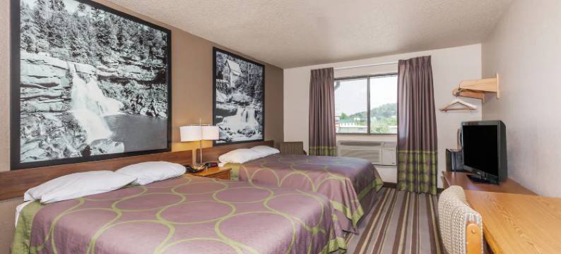 邓巴-查尔斯顿地区速8酒店(Super 8 by Wyndham Dunbar/Charleston Area)图片