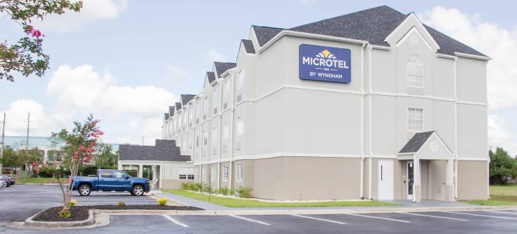 杰克森维尔勒琼营麦客达温德姆酒店(Microtel Inn & Suites by Wyndham Camp Lejeune/Jacksonville)图片
