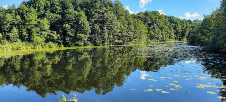Ferienwohnung Prälank图片