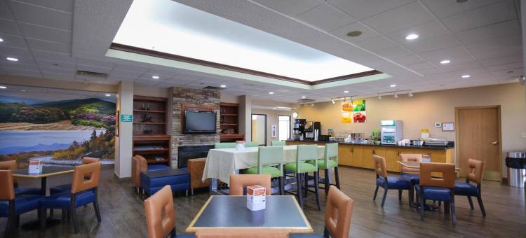 布恩 - 大学区凯艺套房酒店(Quality Inn & Suites Boone - University Area)图片