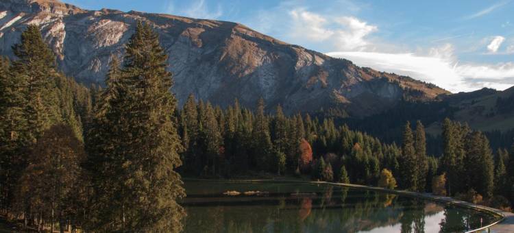 莫尔济讷山上小屋酒店(Chalet Sur les Monts Morzine)图片
