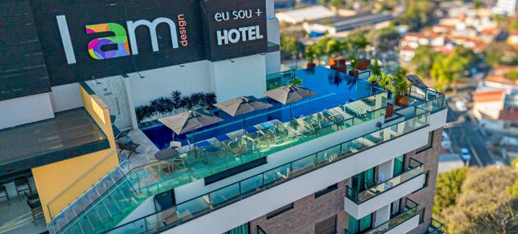 I am 设计酒店坎皮纳斯，巴西酒店管理(I am Design Hotel Campinas by Hotelaria Brasil)图片