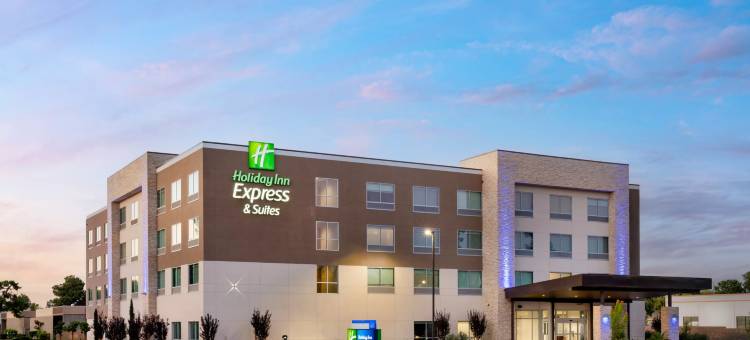 弗雷斯诺机场智选假日套房酒店(洲际酒店集团)(Holiday Inn Express & Suites Fresno Airport, an IHG Hotel)图片
