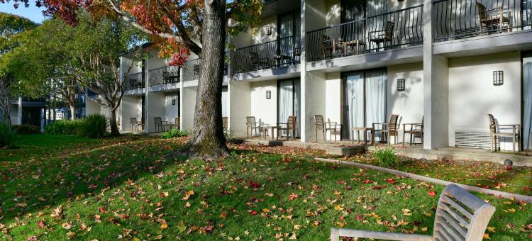 IHG智选假日酒店米尔谷旧金山区(Holiday Inn Express Mill Valley San Francisco Area)图片