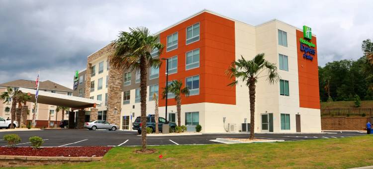 智选假日套房酒店-阿拉巴斯特(Holiday Inn Express & Suites Alabaster)图片