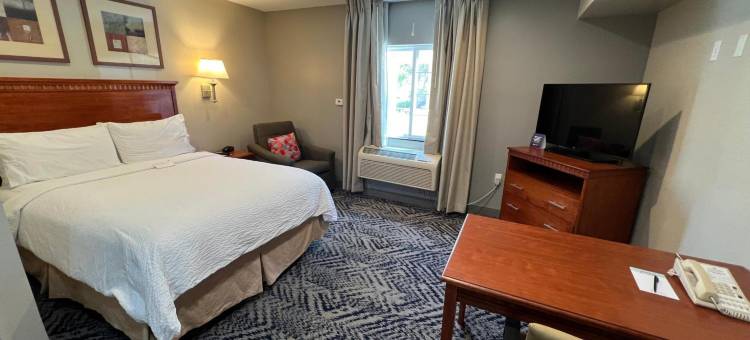 洛杉矶霍索恩Candlewood Suites(Candlewood Suites LAX Hawthorne)图片