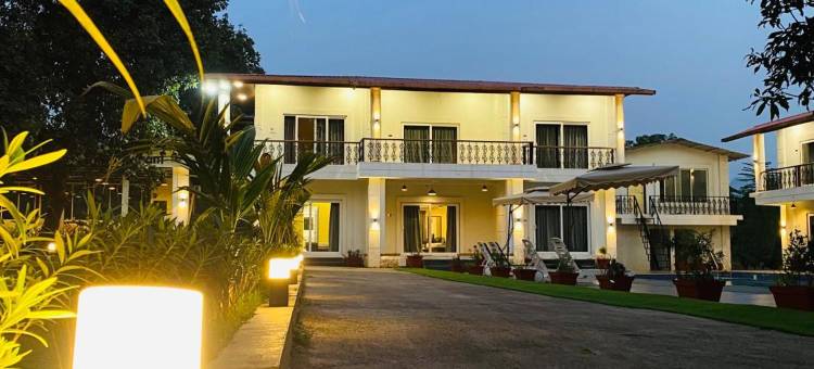 绿色丛林度假村(The Green Jungle Resort)图片