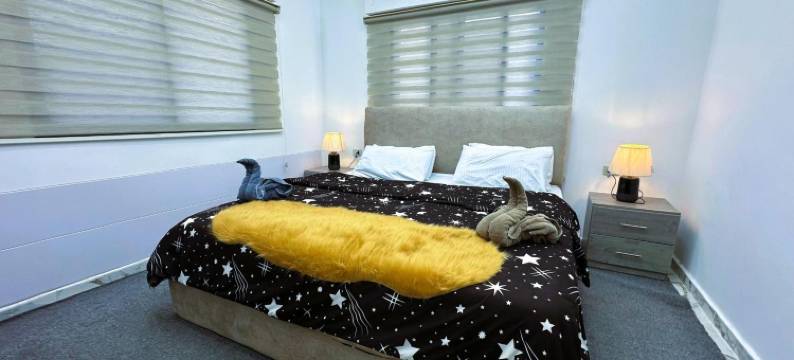 Jerash City View图片