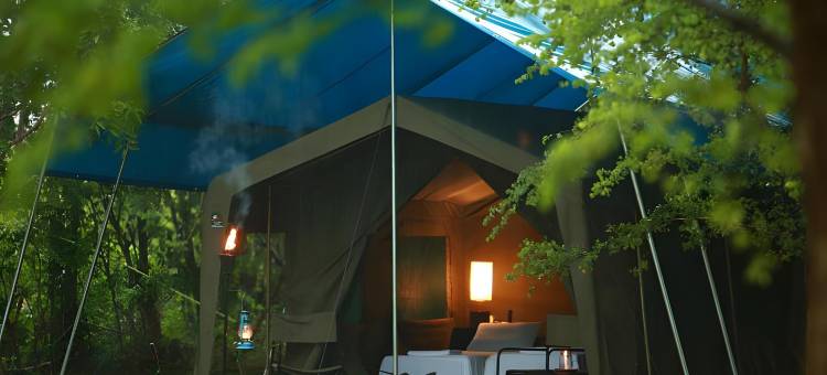 威尔帕图大型游戏酒店-生态团队(Big Game - Wilpattu by Eco Team)图片