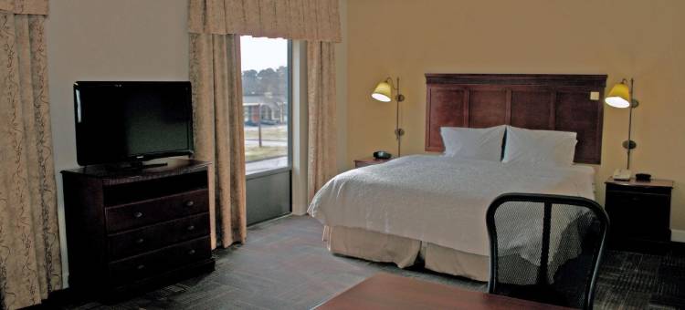 希尔顿欢朋套房酒店-诺福克机场(Hampton Inn & Suites Norfolk-Airport)图片