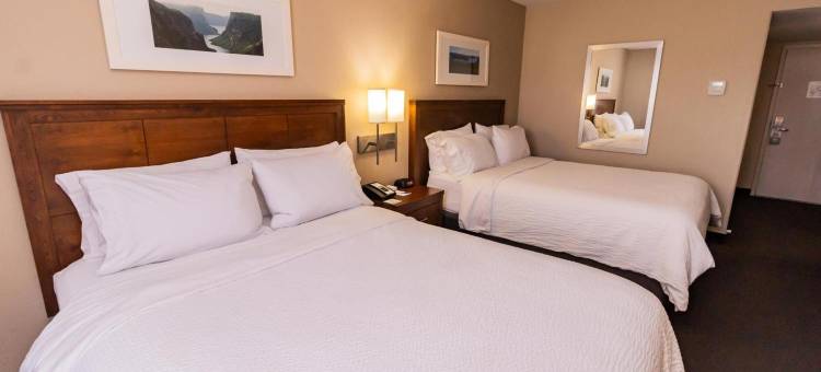 鹿湖地平线酒店(Deer Lake Horizon Hotel)图片