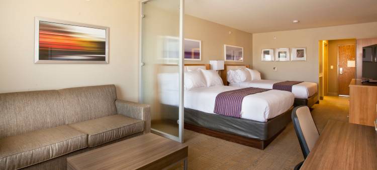 智选假日套房酒店南温泉城(Holiday Inn Express & Suites Hot Springs)图片