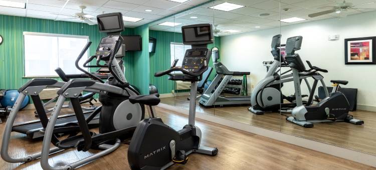 智选假日套房酒店休斯敦南 - 近皮尔兰(Holiday Inn Express & Suites Houston South - Pearland)图片