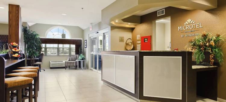 Microtel Inn & Suites by Wyndham Williston图片