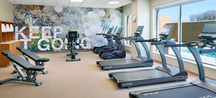 万豪春丘田纳西阿灵顿酒店(SpringHill Suites Arlington TN)图片