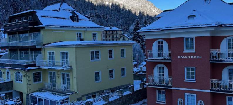 林登霍夫精品酒店(Hotel Lindenhof)图片