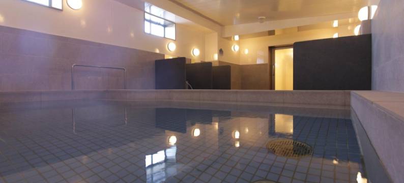 新盖亚西熊本站前酒店(Hotel New Gaea Nishi Kumamoto Ekimae)图片