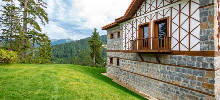 Foleya Mountain Resort图片