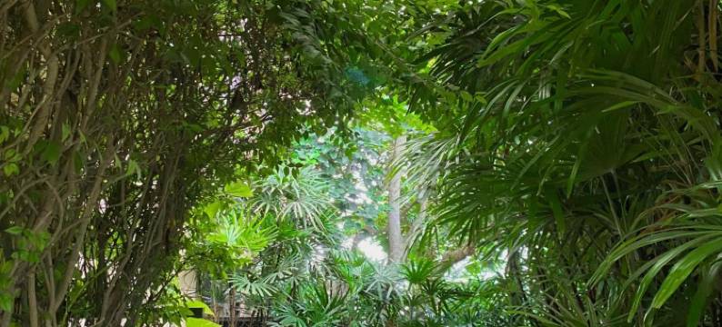 椰子酒店(The Coconut Hotel)图片