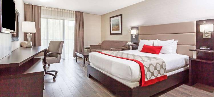 渥太华里多华美达酒店(Ramada by Wyndham Ottawa on the Rideau)图片