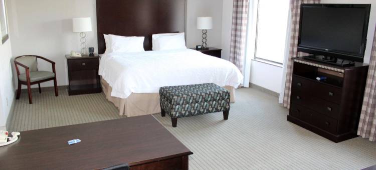 希尔顿欢朋套房酒店-芒特普莱森特(Hampton Inn & Suites Mount Pleasant)图片