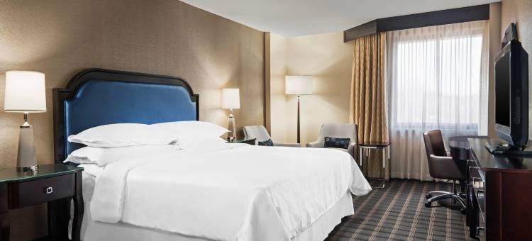 夏洛特机场喜来登酒店(Sheraton Charlotte Airport Hotel)图片