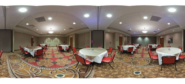 卡本代尔大学区洲际智选假日套房酒店(Holiday Inn Express & Suites Carbondale - University Area by IHG)图片