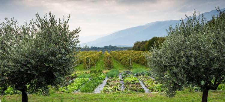 鲁戈基里欧农庄酒店(Hotel Agriturismo Al Luogo Del Giulio)图片