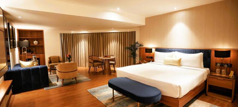 金色郁金香齐普尔市中心酒店(Golden Tulip Jaipur City Center)图片