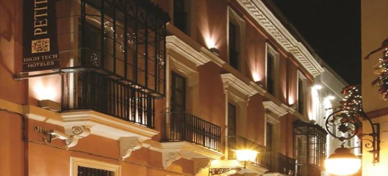 圣安娜珀蒂宫马克斯酒店(Petit Palace Marques Santa Ana)图片