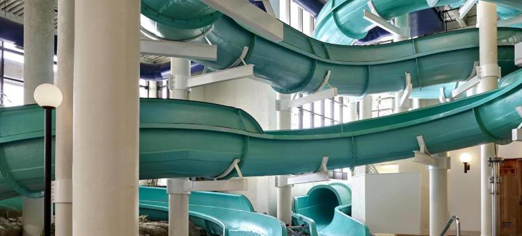 卡尔加里喜来登骑士酒店(Sheraton Cavalier Calgary Hotel)图片