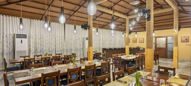 The Blackbuck Trails Velavadar图片