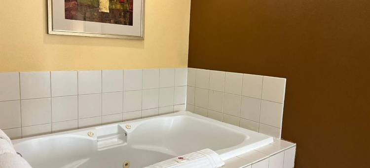 路易斯维尔东舒适套房酒店(Comfort Suites Louisville East)图片