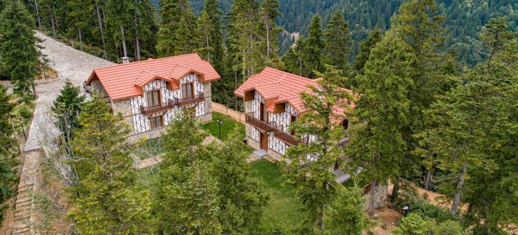 Foleya Mountain Resort图片