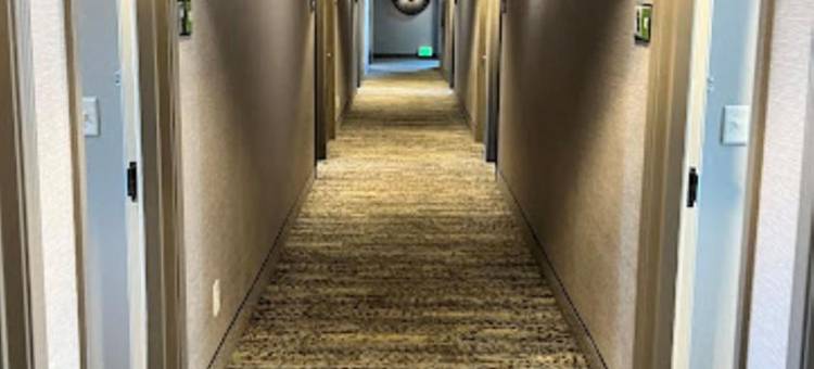 蒙特罗斯欢朋酒店(Hampton Inn Montrose)图片