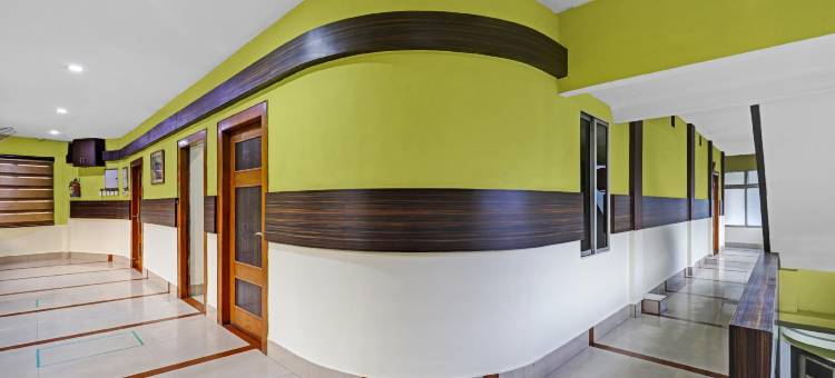 Treebo 阿波罗(Treebo Apollo)图片