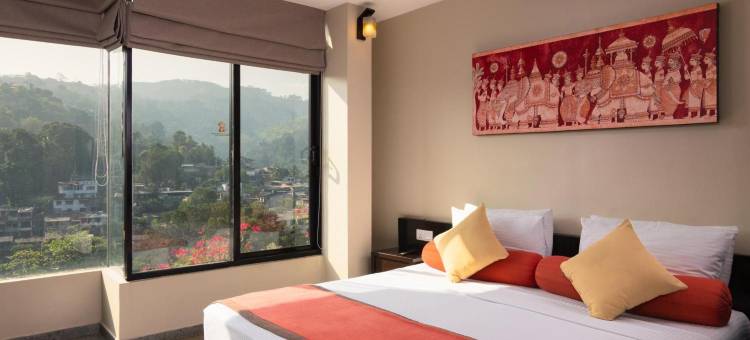 橡光都市酒店(Oak Ray City Hotel)图片