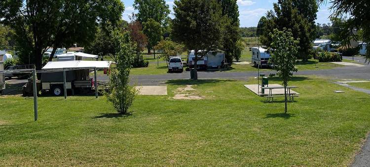 达博假日公园(Dubbo Holiday Park)图片