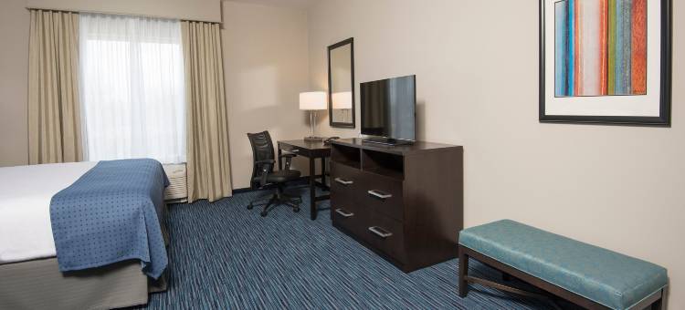 印第安纳波利斯机场假日酒店(Holiday Inn Indianapolis Airport)图片