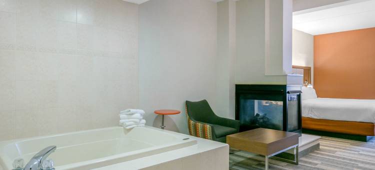 阿灵顿山-洛克威区假日快捷套房酒店(Holiday Inn Express & Suites Mount Arlington-Rockaway Area)图片